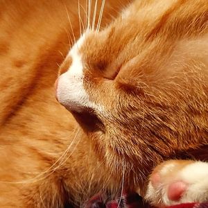 Meet your Posher, Stefani